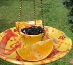 Amaranth Stoneware Stoneware Fruit & Jelly Feeder Fruit, Jelly & Mealworm Feeders