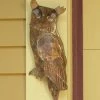 Ancient Graffiti Flamed Owl Wall Decor