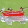 Aspects Jewel Box Window Hummingbird Feeder 1 Aspects Jewel Box Window Hummingbird Feeder