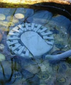 Allied Precision 250 Watt Bird Bath Heater