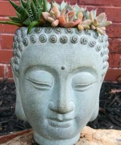The Birdhouse Chick Buddha Head Planter Planters, Urns & Pots