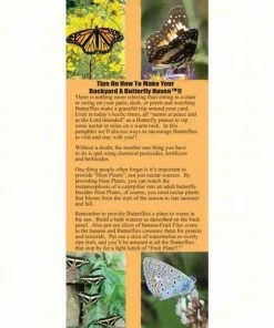 Wildlife World Butterfly Biome Habitat Butterflies