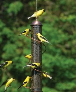 Songbird Essentials Copper Spiral Thistle Feeder 17-inch