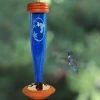Songbird Essentials Hummingbird Feeders Crystal Etched Hummingbird Feeder- Clear Or Cobalt