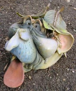 Doug Fey Garden Guy Toad House Toad Houses