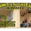 Birdhouse Spy Cam Hawk-Eye Wireless Spy Camera For Birdwatching 2 Birdhouse Spy Cam Hawk-Eye Wireless Spy Camera For Birdwatching