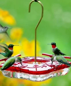 The Birdhouse Chick High-View Square Hummingbird Feeder Hummingbird Feeders