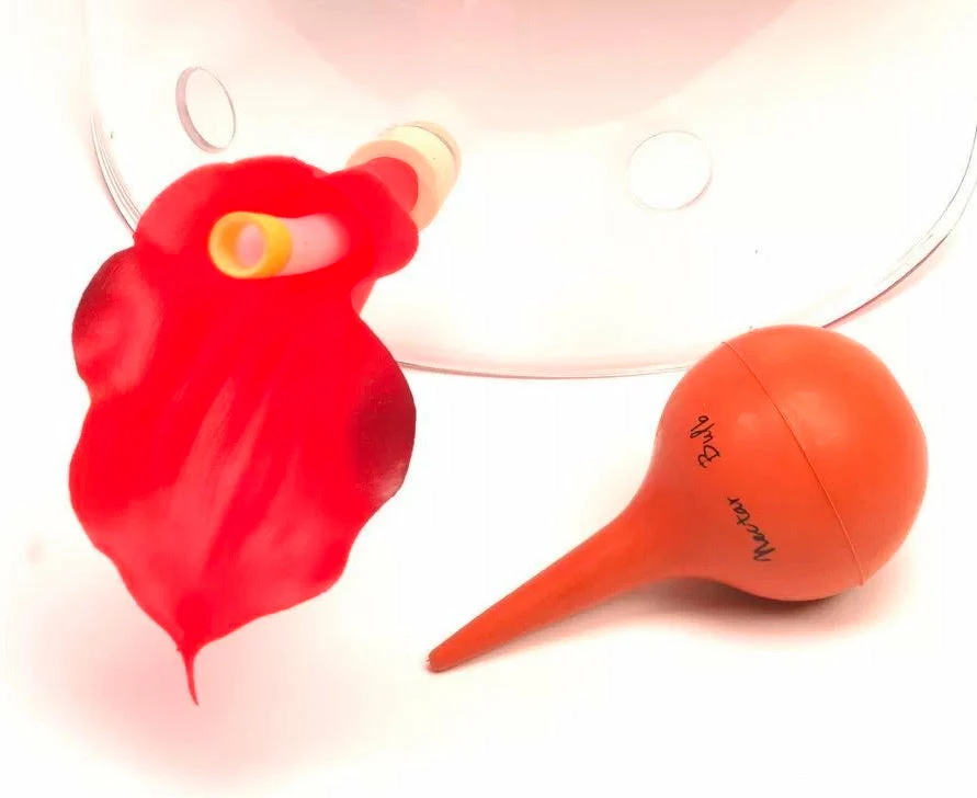 The Birdhouse Chick Humm-Viewer Ultimate Feeder Mask Hummingbird Feeders 8 The Birdhouse Chick Humm-Viewer Ultimate Feeder Mask Hummingbird Feeders