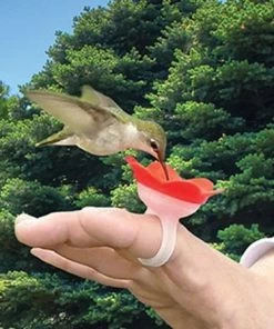 The Birdhouse Chick Hummer Ring Kit