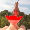 The Birdhouse Chick Hummer Ring Kit