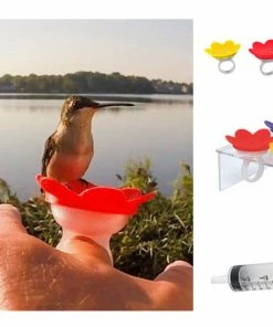 The Birdhouse Chick Hummer Ring Kit