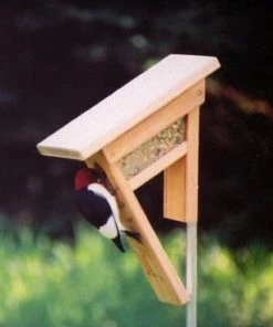 Kettle Moraine Clinger Woodpecker And Peanut Feeder