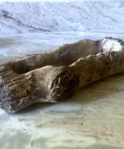 The Birdhouse Chick Planters, Urns & Pots Ceramic Log Planter