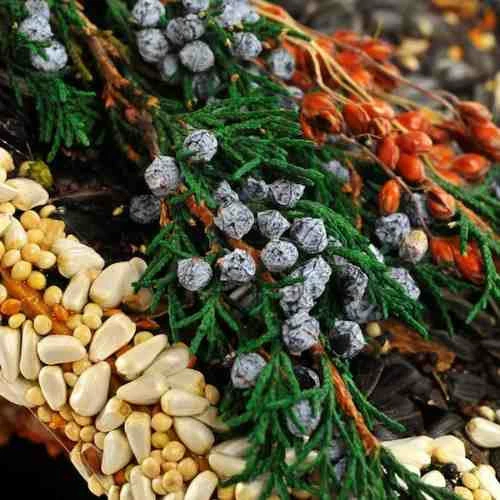 Mr. Bird Birdies Bed & Breakfast Chalet Unique Birdhouses 4 Mr. Bird Birdies Bed & Breakfast Chalet Unique Birdhouses