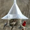 Arundale Mandarin Sky Cafe Squirrel-Proof Feeders