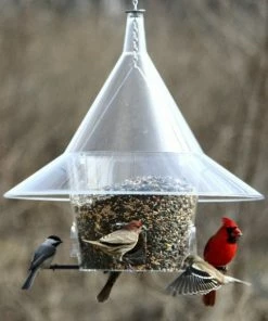 Arundale Mandarin Sky Cafe Squirrel-Proof Feeders