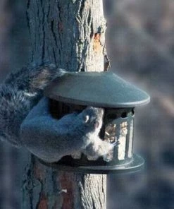 Heritage Farms Metal Squirrel Diner Post Mount Feeder