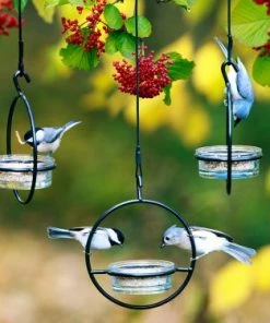 Couronne Orb Mealworm & Multi-Use Bird Feeder Unique Bird Feeders