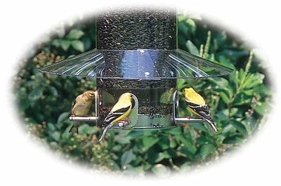 Birds Choice Weather Guard For Classic Bird Feeders Squirrel-Proof Feeders 3 Birds Choice Weather Guard For Classic Bird Feeders Squirrel-Proof Feeders