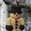 Pine Tree Farms Big Snow Man BirdSeed Treat Specialty Foods & Mealworms 2 Pine Tree Farms Big Snow Man BirdSeed Treat Specialty Foods & Mealworms