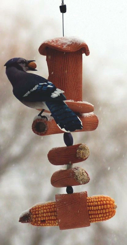 Amaranth Stoneware Unique Bird Feeders Hand Crafted Suet Feeder & More 5 Amaranth Stoneware Unique Bird Feeders Hand Crafted Suet Feeder & More