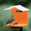 Birds Choice Recycled Pole Mount Oriole Feeder With Roof 1 Birds Choice Recycled Pole Mount Oriole Feeder With Roof