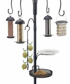 Rainbow Guardman Unique Bird Feeders Complete Bird Feeding Station With Feeders