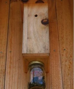 The Birdhouse Chick Pest Deterrents Carpenter Bee Trap