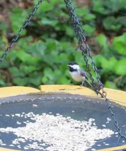 The Birdhouse Chick Recycled Tire Hanging Platform Feeder Recycled Birdhouses