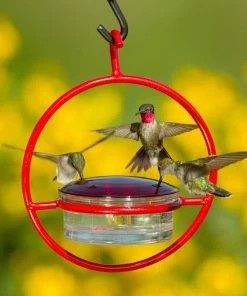 Couronne Red Orb With Perch Hummingbird Feeder
