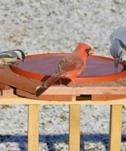 Songbird Essentials Deck & Ground Bird Baths Cedar Heated Deck Mount Bird Bath