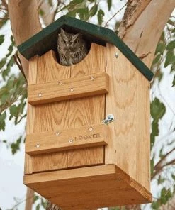 Songbird Essentials Screech Owl House Owl Houses