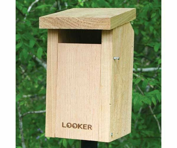 Songbird Essentials Bluebird House With Slot Entry-NABS Approved Bluebird Houses 3 Songbird Essentials Bluebird House With Slot Entry-NABS Approved Bluebird Houses
