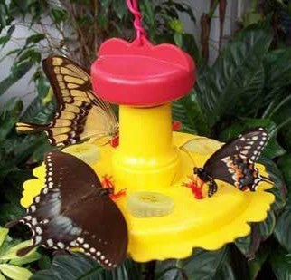 Songbird Essentials Butterfly Feeder With Nectar - Hang Or Pole Mount 3 Songbird Essentials Butterfly Feeder With Nectar - Hang Or Pole Mount