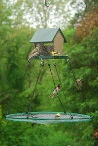 Songbird Essentials SeedHoop-Seed Catcher Adjustable Seed Tray 30-inch 7 Songbird Essentials SeedHoop-Seed Catcher Adjustable Seed Tray 30-inch