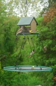 Songbird Essentials SeedHoop-Seed Catcher Adjustable Seed Tray 30-inch 5 Songbird Essentials SeedHoop-Seed Catcher Adjustable Seed Tray 30-inch