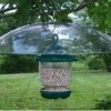 Songbird Essentials Large Hanging Squirrel Baffle 1 Songbird Essentials Large Hanging Squirrel Baffle