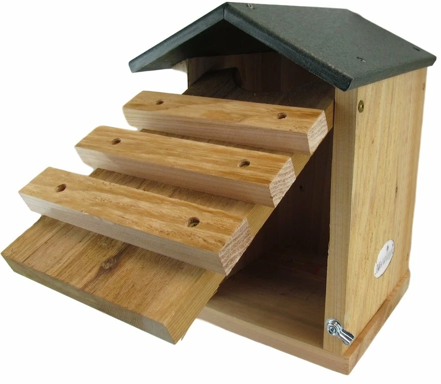 Songbird Essentials Screech Owl House Owl Houses 5 Songbird Essentials Screech Owl House Owl Houses