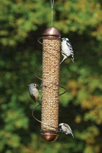 Songbird Essentials Shelled Peanut Bird Feeder W/Spiral-Copper 17-inch 3 Songbird Essentials Shelled Peanut Bird Feeder W/Spiral-Copper 17-inch