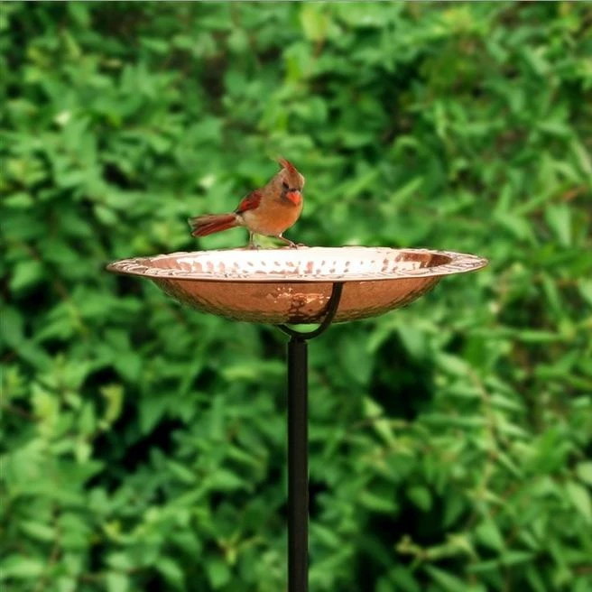 Good Directions Solid Copper Staked Bird Bath- 2 Sizes 3 Good Directions Solid Copper Staked Bird Bath- 2 Sizes