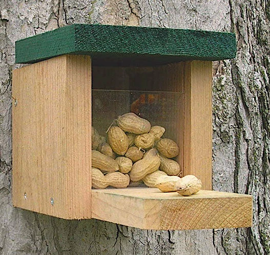 Goldcrest Squirrel Feeders Squirrel Feeder Munch Box 3 Goldcrest Squirrel Feeders Squirrel Feeder Munch Box