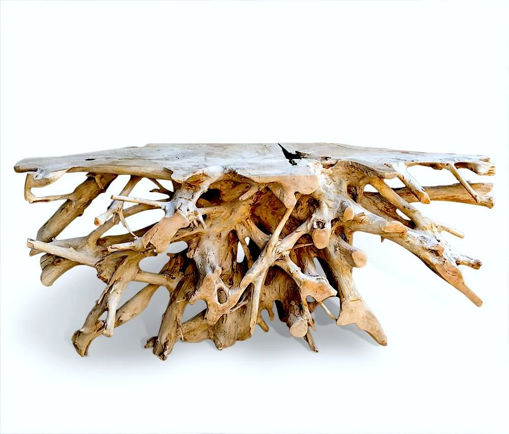 The Birdhouse Chick Teak Root Console Table Home & Garden Accents 5 The Birdhouse Chick Teak Root Console Table Home & Garden Accents