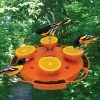 Songbird Essentials Fruit, Jelly & Mealworm Feeders Ultimate Oriole Feeder 1 Songbird Essentials Fruit, Jelly & Mealworm Feeders Ultimate Oriole Feeder