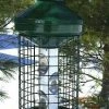 Vari-Crafts Squirrel-Proof Feeders Deluxe Large Capacity Squirrel-Proof Feeder 2 Vari-Crafts Squirrel-Proof Feeders Deluxe Large Capacity Squirrel-Proof Feeder