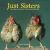 Willow Creek Press Just Sisters Gift Book 1 Willow Creek Press Just Sisters Gift Book