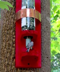 The Birdhouse Chick Bottle Bird Feeder