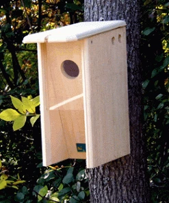 Coveside Conservation Starling Resistant Flicker Birdhouse