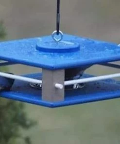 The Birdhouse Chick Recycled Birdhouses Gilbertson Hanging Bluebird Feeder 9 The Birdhouse Chick Recycled Birdhouses Gilbertson Hanging Bluebird Feeder