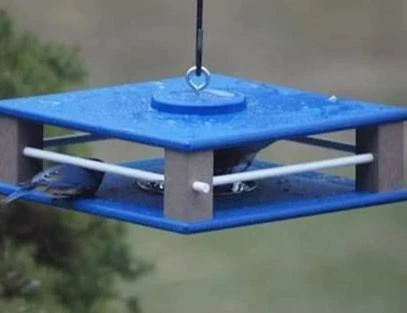 The Birdhouse Chick Recycled Birdhouses Gilbertson Hanging Bluebird Feeder 6 The Birdhouse Chick Recycled Birdhouses Gilbertson Hanging Bluebird Feeder