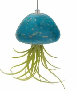 Kinsman Garden Company Jellyfish Air Plant Hangers Set/3